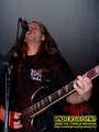 Gallery image 38