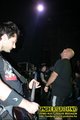 Gallery image 37