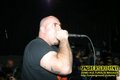 Gallery image 38
