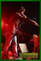 Gallery image 31