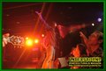 Gallery image 46