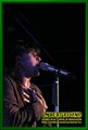 Gallery image 55