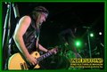 Gallery image 65