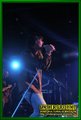 Gallery image 69
