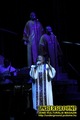 Gallery image 38