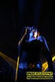 Gallery image 101