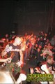 Gallery image 33