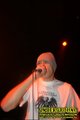 Gallery image 27