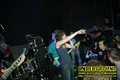 Gallery image 39