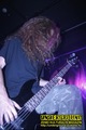 Gallery image 31