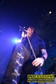 Gallery image 23