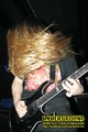 Gallery image 30