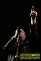 Gallery image 39