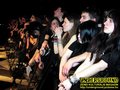 Gallery image 64