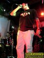Gallery image 20