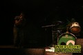 Gallery image 32