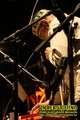 Gallery image 30