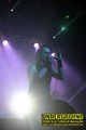 Gallery image 24