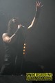 Gallery image 21