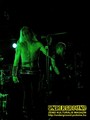 Gallery image 24
