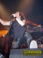 Gallery image 22