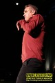 Gallery image 101
