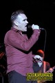 Gallery image 100