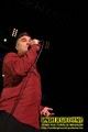 Gallery image 27