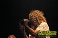 Gallery image 21