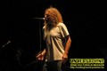 Gallery image 31