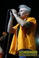 Gallery image 22