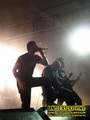 Gallery image 24