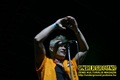 Gallery image 28