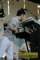 Gallery image 39