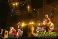 Gallery image 37