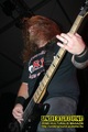 Gallery image 39