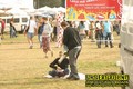 Gallery image 21