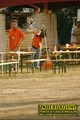 Gallery image 28