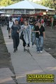 Gallery image 24