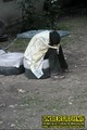 Gallery image 26