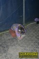 Gallery image 35