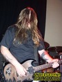 Gallery image 38