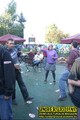 Gallery image 39