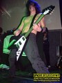 Gallery image 64
