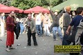 Gallery image 65