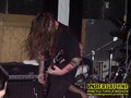 Gallery image 69