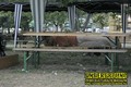 Gallery image 73