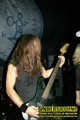 Gallery image 31
