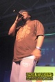 Gallery image 51