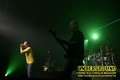 Gallery image 28